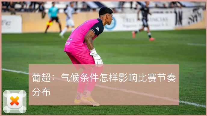 葡超:气候条件怎样影响比赛节奏分布