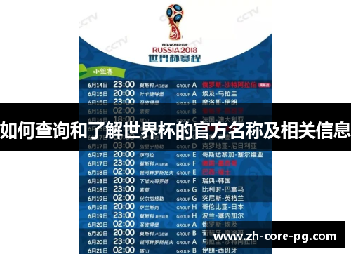 如何查询和了解世界杯的官方名称及相关信息
