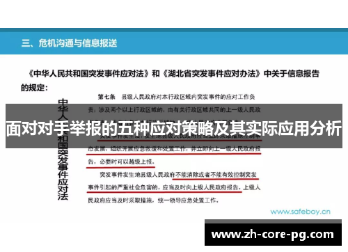 面对对手举报的五种应对策略及其实际应用分析