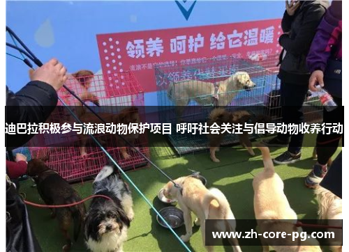 迪巴拉积极参与流浪动物保护项目 呼吁社会关注与倡导动物收养行动