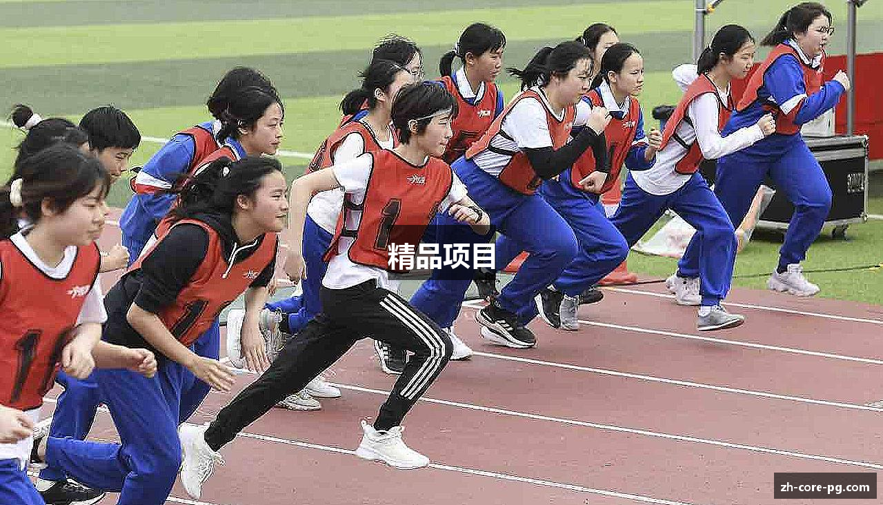 精品项目